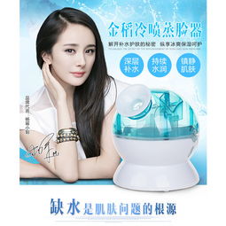 金稻蒸臉器KD-23316 秋冬護膚的冷熱雙效神器