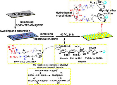 寧波材料所生物基聚合物微孔膜制備及改性研究獲進展_中國膜工業(yè)協(xié)會