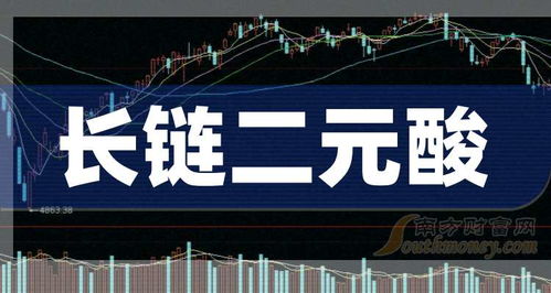 收藏 2024年哪些才是長鏈二元酸上市公司龍頭股 2024 9 26