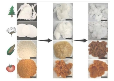 賓夕法尼亞州立大學利用生物基材料回收稀土元素