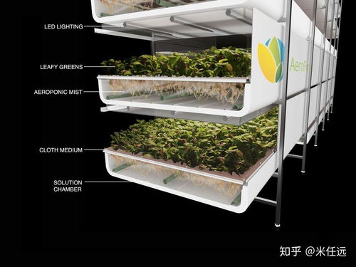 農(nóng)學(xué)專業(yè)在中國(guó)有什么未來(lái)