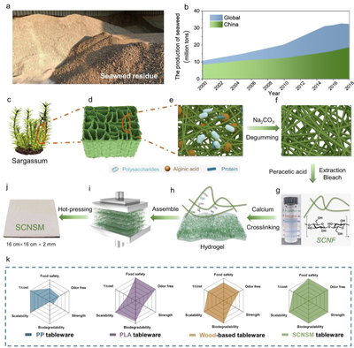 中科大俞書宏院士團隊AM:可食用、超強、熱穩定好的海藻基結構材料,可生物降解餐具新選擇!